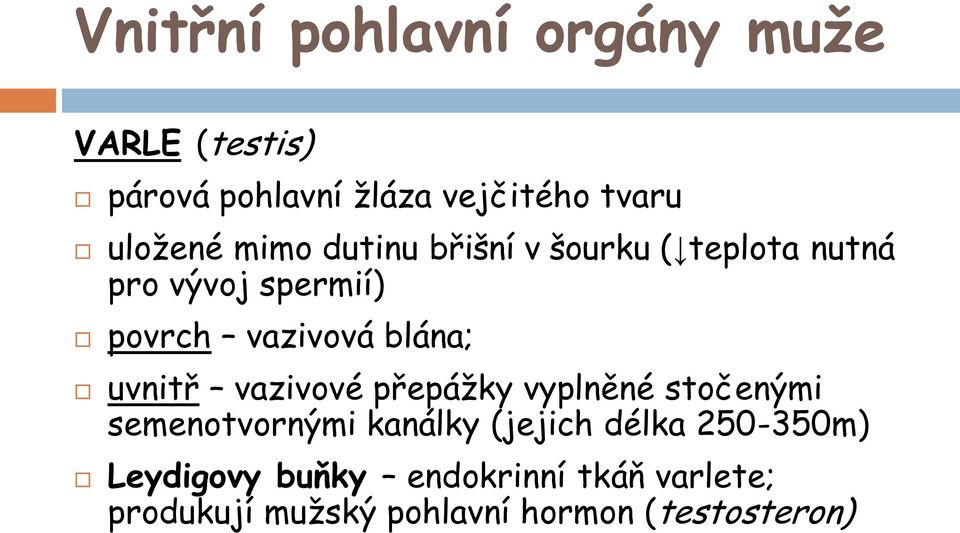 blána; uvnitř vazivové přepážky vyplněné stočenými semenotvornými kanálky (jejich délka