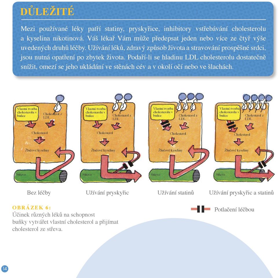 Podaří-li se hladinu LDL cholesterolu dostatečně snížit, omezí se jeho ukládání ve stěnách cév a v okolí očí nebo ve šlachách.