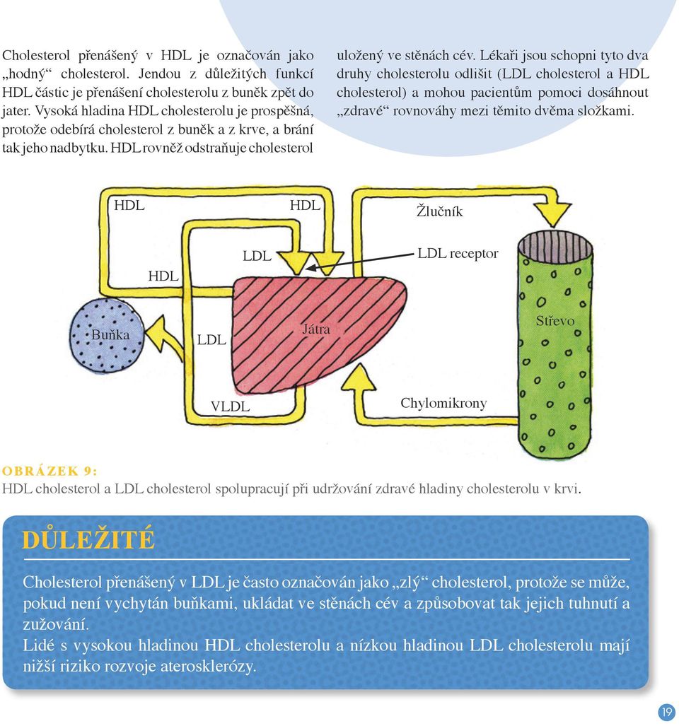 Lékaři jsou schopni tyto dva druhy cholesterolu odlišit (LDL cholesterol a HDL cholesterol) a mohou pacientům pomoci dosáhnout zdravé rovnováhy mezi těmito dvěma složkami.