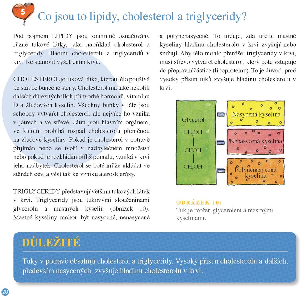 Cholesterol má také několik dalších důležitých úloh při tvorbě hormonů, vitamínu D a žlučových kyselin.