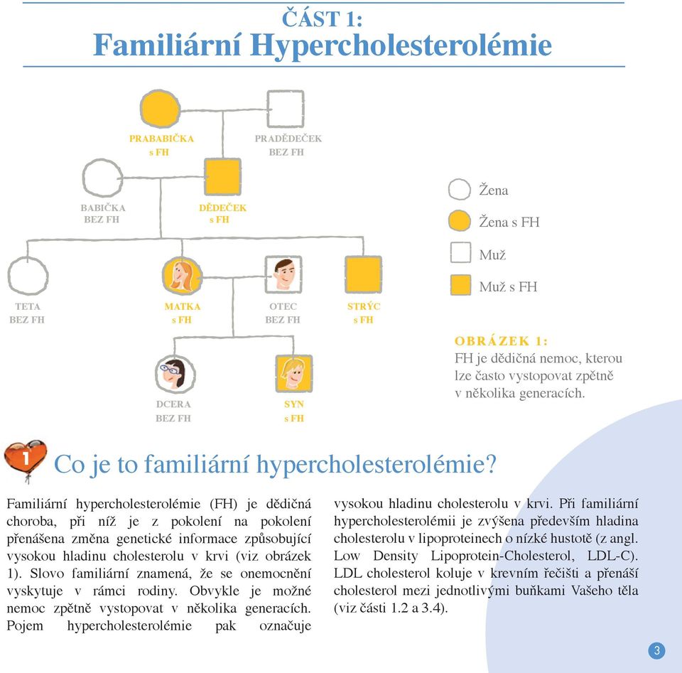 Familiární hypercholesterolémie (FH) je dědičná choroba, při níž je z pokolení na pokolení přenášena změna genetické informace způsobující vysokou hladinu cholesterolu v krvi (viz obrázek 1).