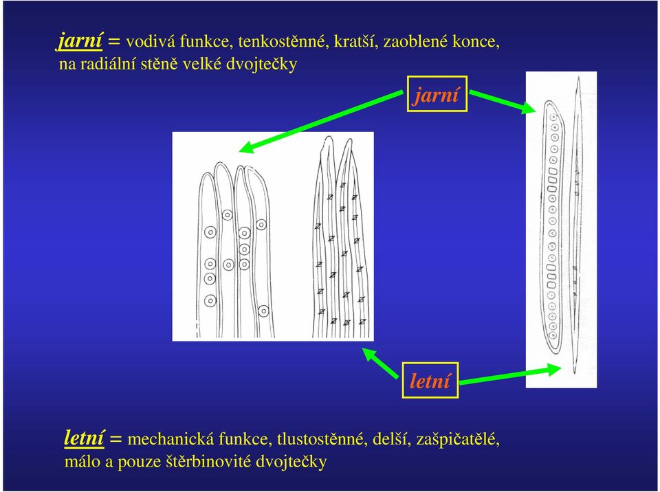 jarní letní letní = mechanická funkce,