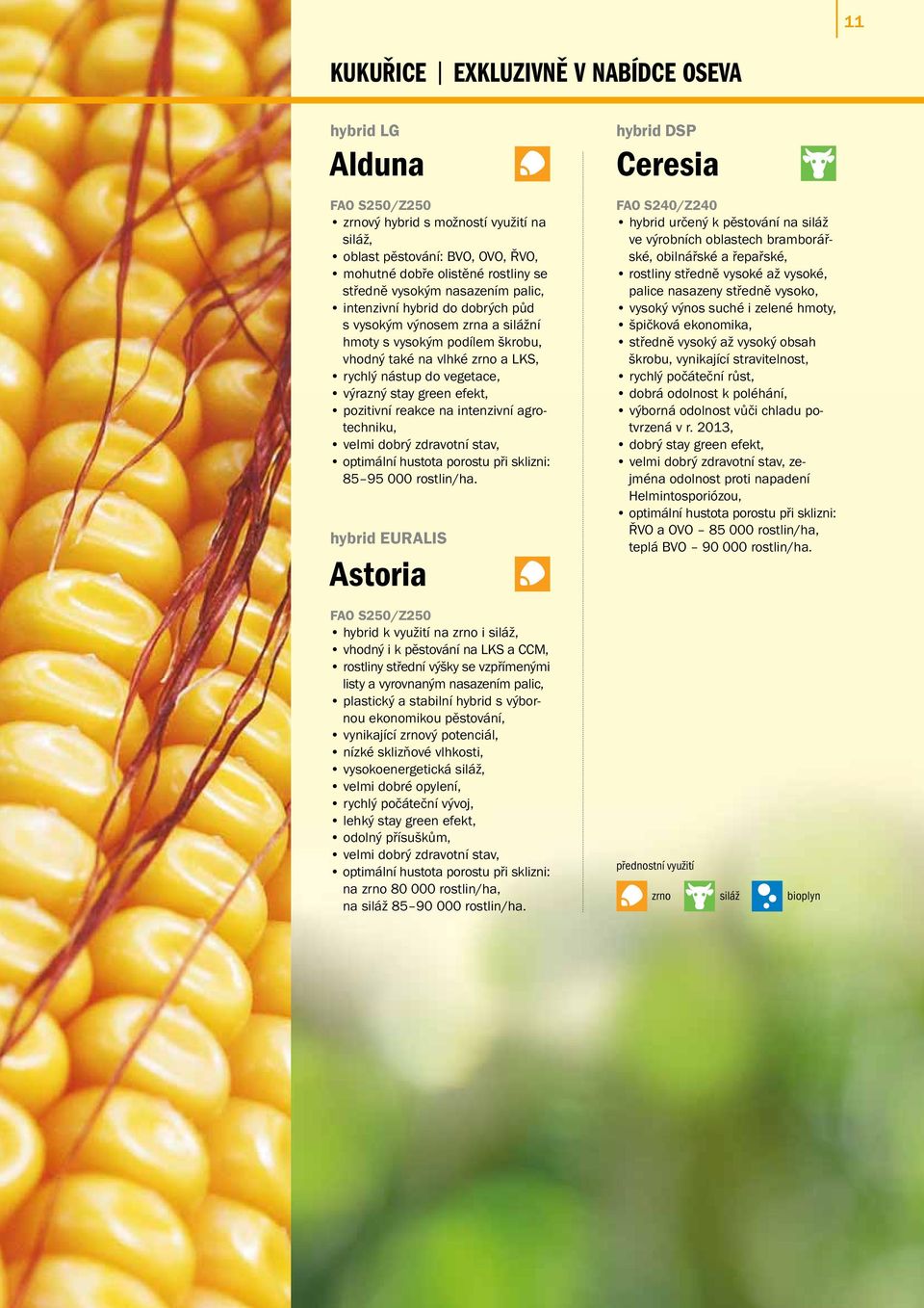 efekt, pozitivní reakce na intenzivní agrotechniku, velmi dobrý zdravotní stav, 85 95 000 rostlin/ha.