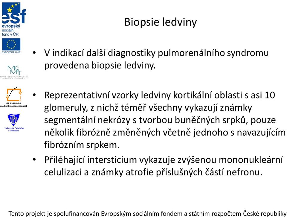 segmentální nekrózy s tvorbou buněčných srpků, pouze několik fibrózně změněných včetně jednoho s navazujícím