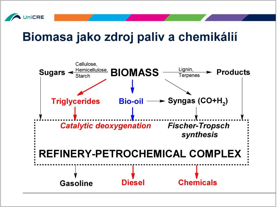 deoxygenation Lignin, Terpenes Products Syngas (CO+H2)