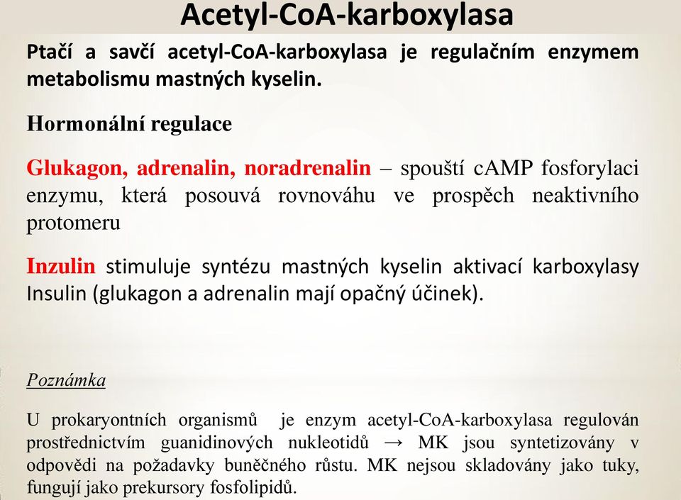 stimuluje syntézu mastných kyselin aktivací karboxylasy Insulin (glukagon a adrenalin mají opačný účinek).