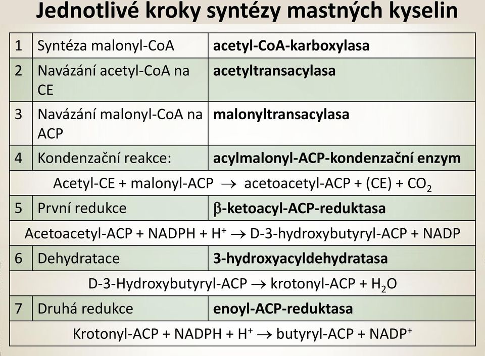 acetoacetyl-ap + (E) + 2 5 První redukce b-ketoacyl-ap-reduktasa Acetoacetyl-AP + NADPH + H + D-3-hydroxybutyryl-AP + NADP 6