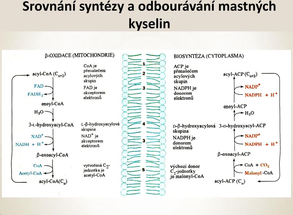 odbourávání