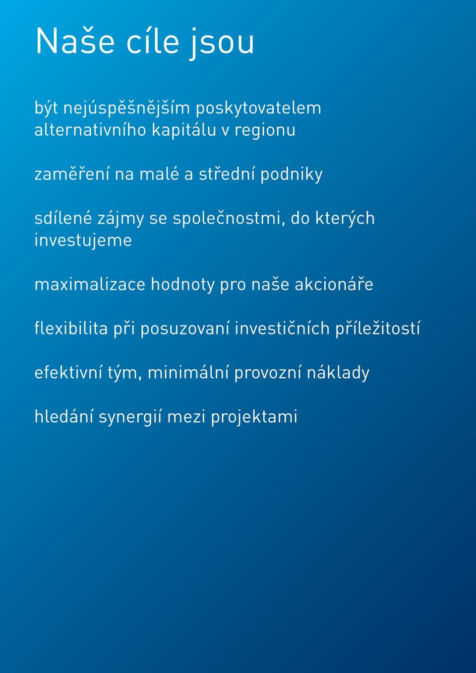 naše akcionáře flexibilita při posuzovaní investičních příležitostí efektivní tým, minimální