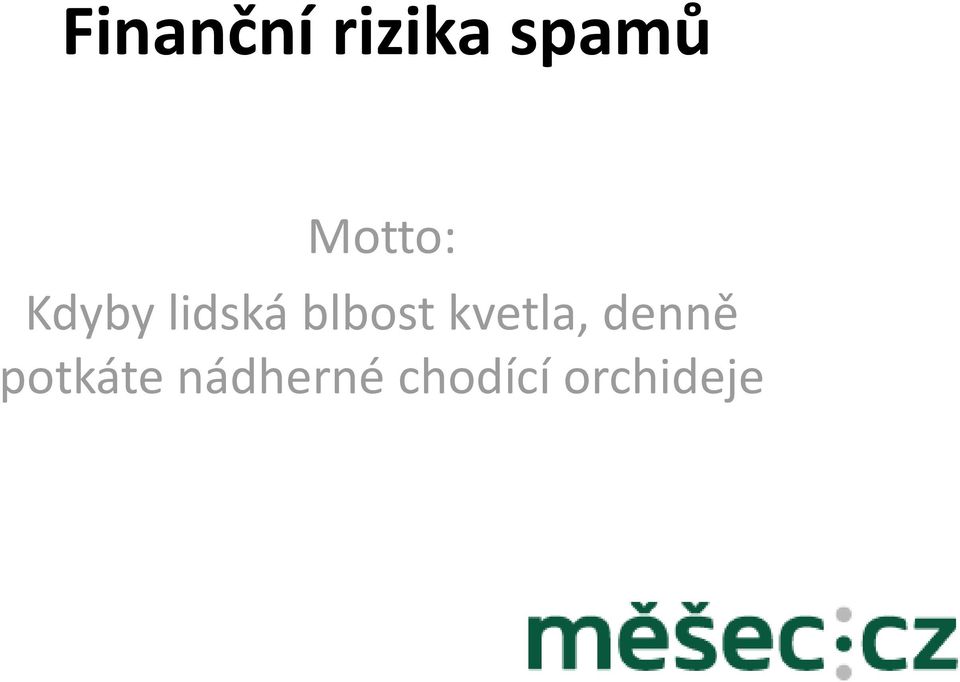 blbost kvetla, denně