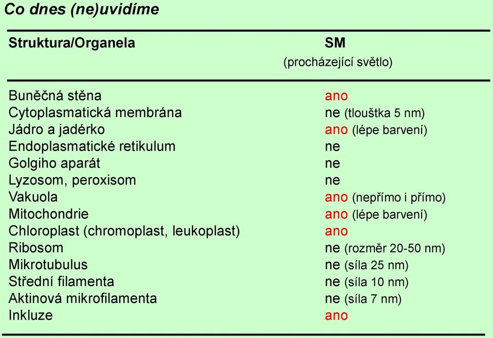 Mikrotubulus Střední filamenta Aktinová mikrofilamenta Inkluze SM (procházející světlo) ano ne (tlouštka 5 nm) ano