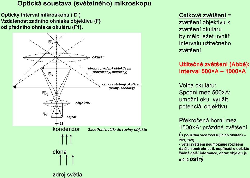 kondenzor clona Zaostření světla do roviny objektu Užitečné zvětšení (Abbé): interval 500 A 1000 A Volba okuláru: Spodní mez 500 A: umožní oku využít potenciál