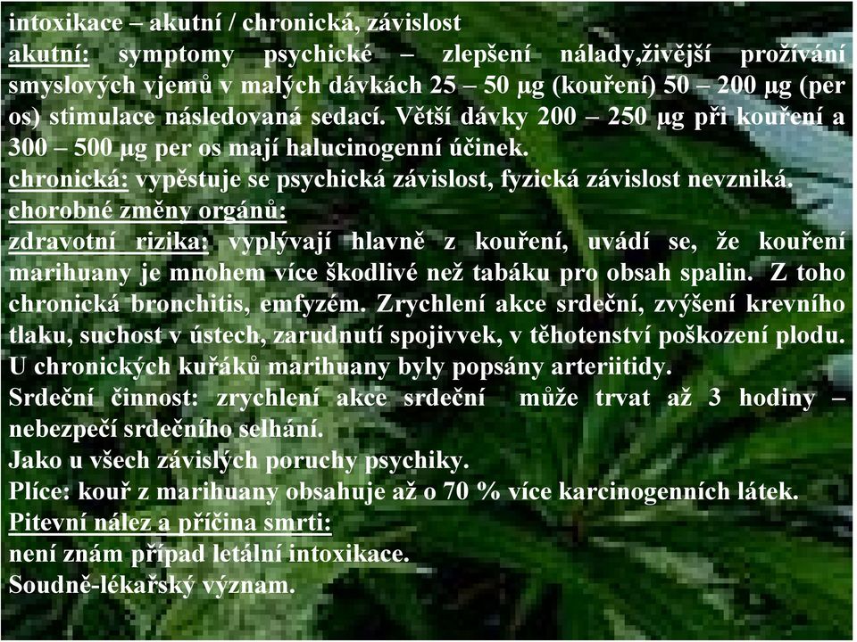 chorobné změny orgánů: zdravotní rizika: vyplývají hlavně z kouření, uvádí se, že kouření marihuany je mnohem více škodlivé než tabáku pro obsah spalin. Z toho chronická bronchitis, emfyzém.