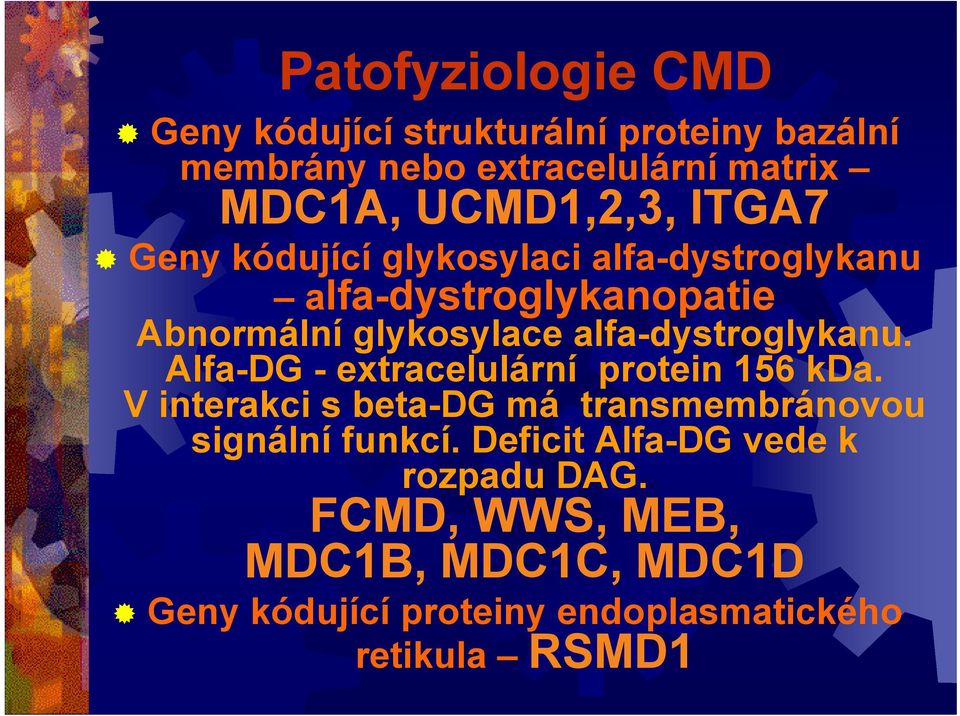 alfa-dystroglykanu. Alfa-DG - extracelulární protein 156 kda.