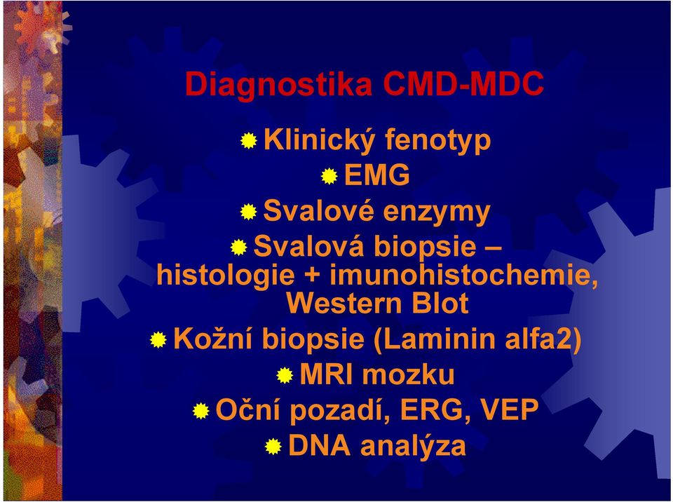 imunohistochemie, Western Blot Kožní biopsie