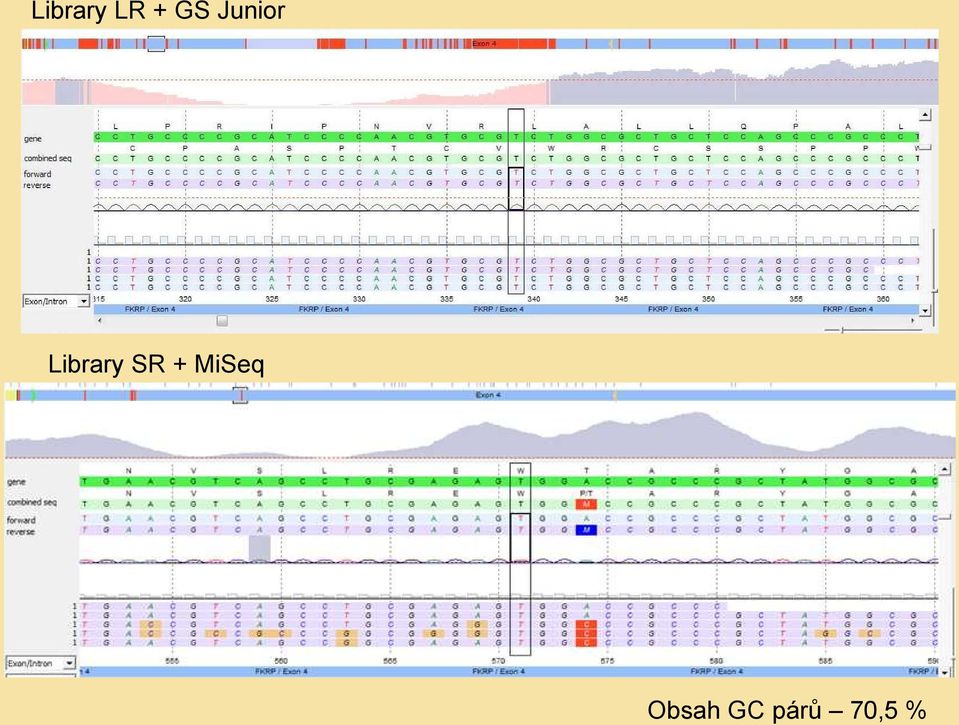 SR + MiSeq