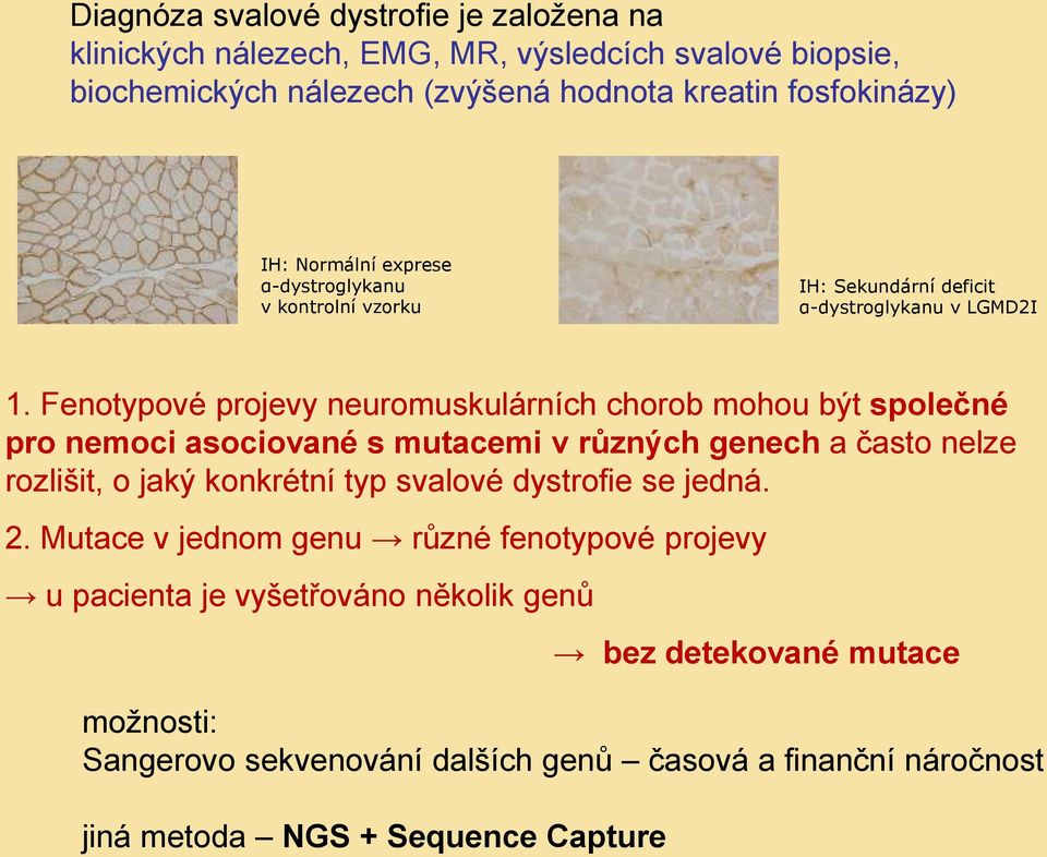 Fenotypové projevy neuromuskulárních chorob mohou být společné pro nemoci asociované s mutacemi v různých genech a často nelze rozlišit, o jaký konkrétní typ svalové