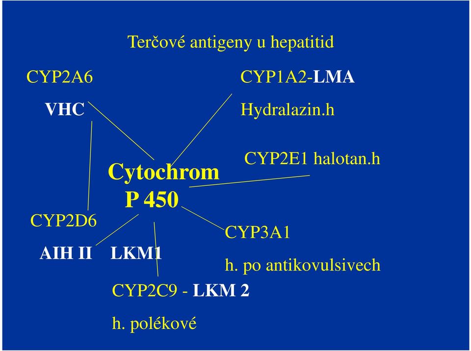 h Cytochrom P 450 CYP2E1 halotan.