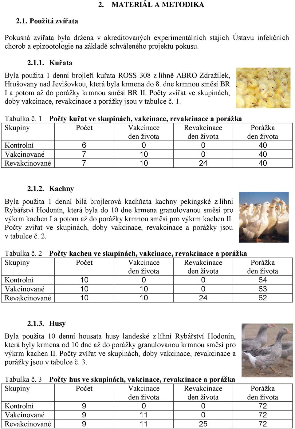 1 Počty kuřat ve skupinách, vakcinace, revakcinace a porážka Skupiny Počet Vakcinace Revakcinace Porážka Kontrolní 6 0 0 40 Vakcinované 7 10 0 40 Revakcinované 7 10 24