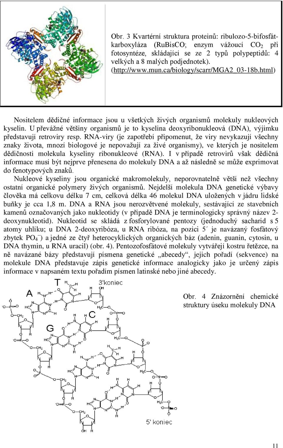 U převážné většiny organismů je to kyselina deoxyribonukleová (DNA), výjimku představují retroviry resp.