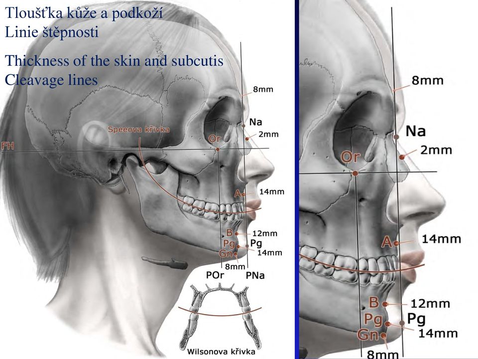 štěpnosti Thickness of