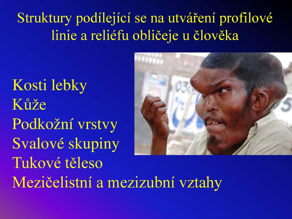 člověka Kosti lebky Kůže Podkožní vrstvy