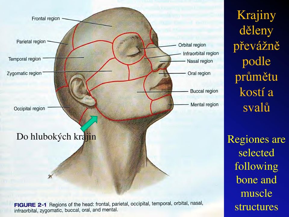 hlubokých krajin Regiones are