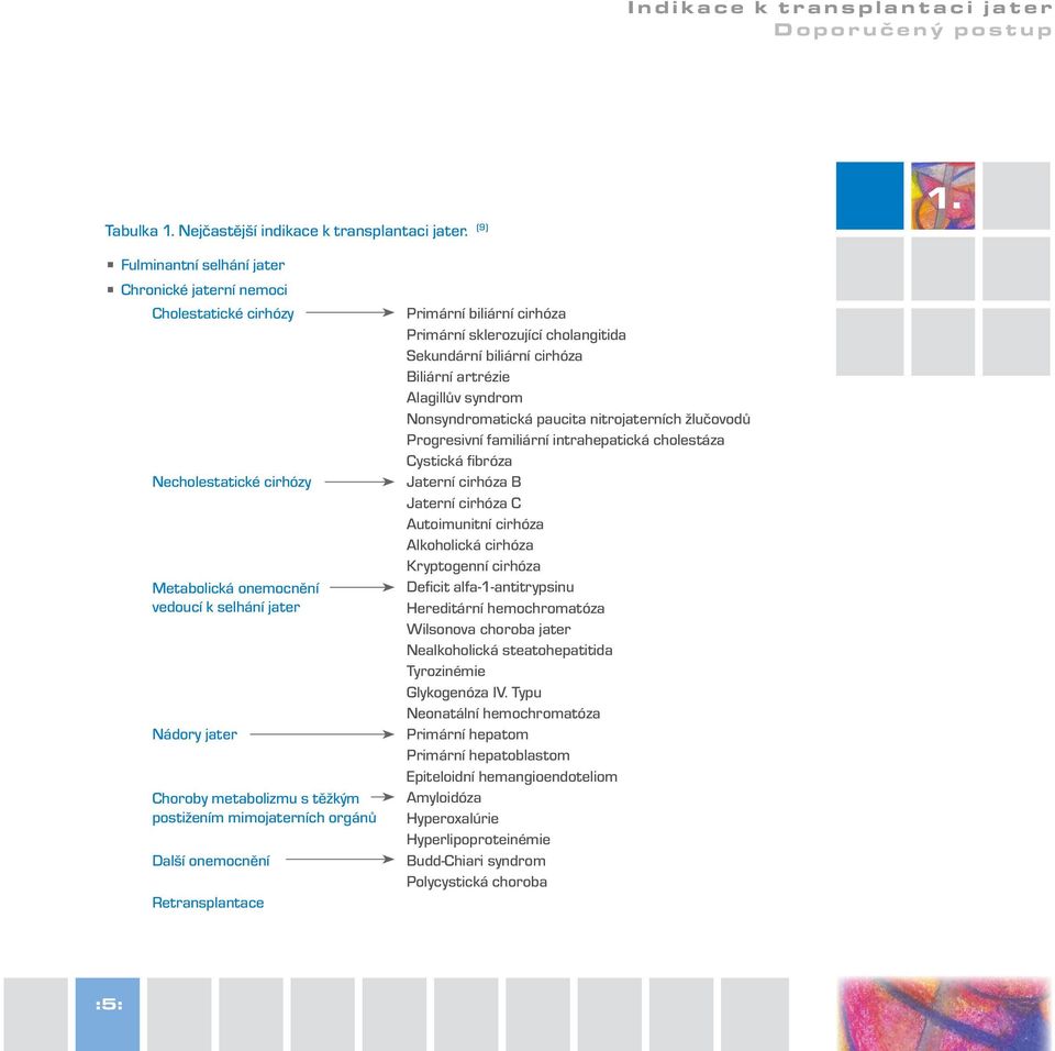 mimojaterních orgánů Další onemocnění Retransplantace Primární biliární cirhóza Primární sklerozující cholangitida Sekundární biliární cirhóza Biliární artrézie Alagillův syndrom Nonsyndromatická