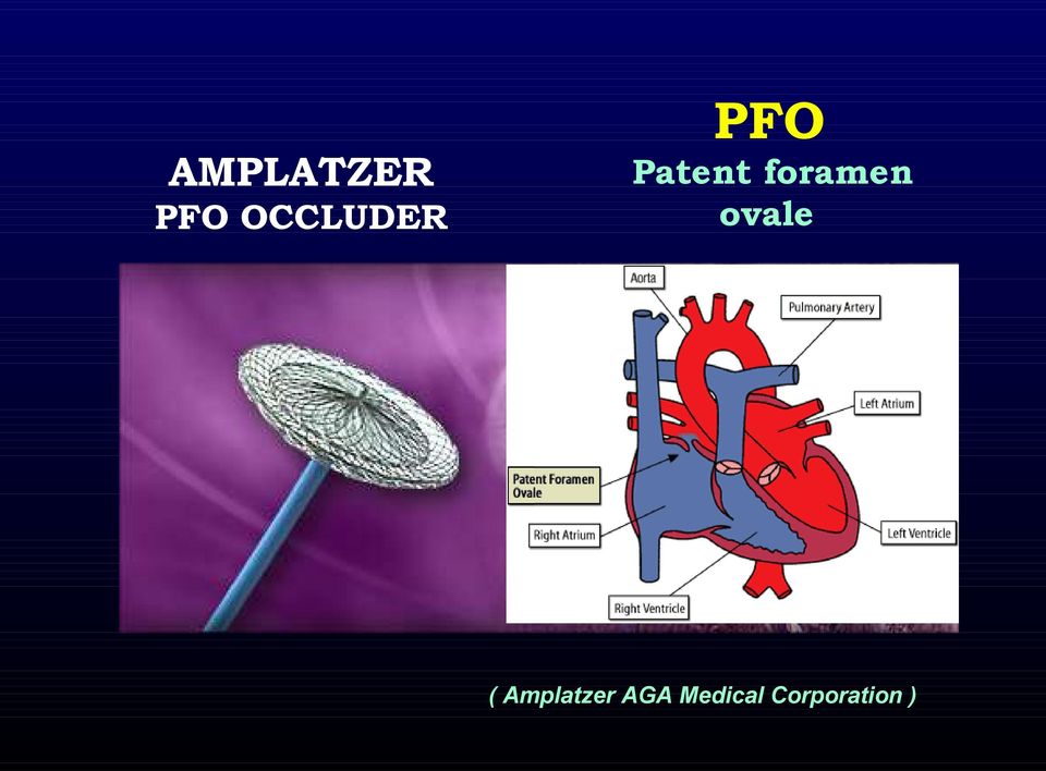 foramen ovale (