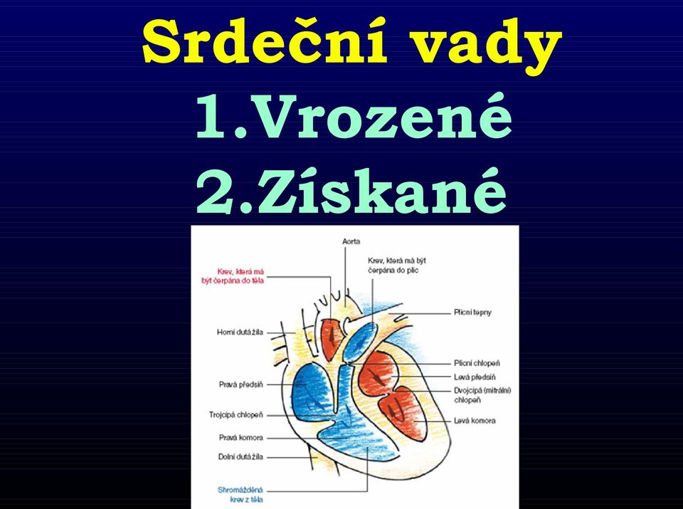 Vrozené 2.