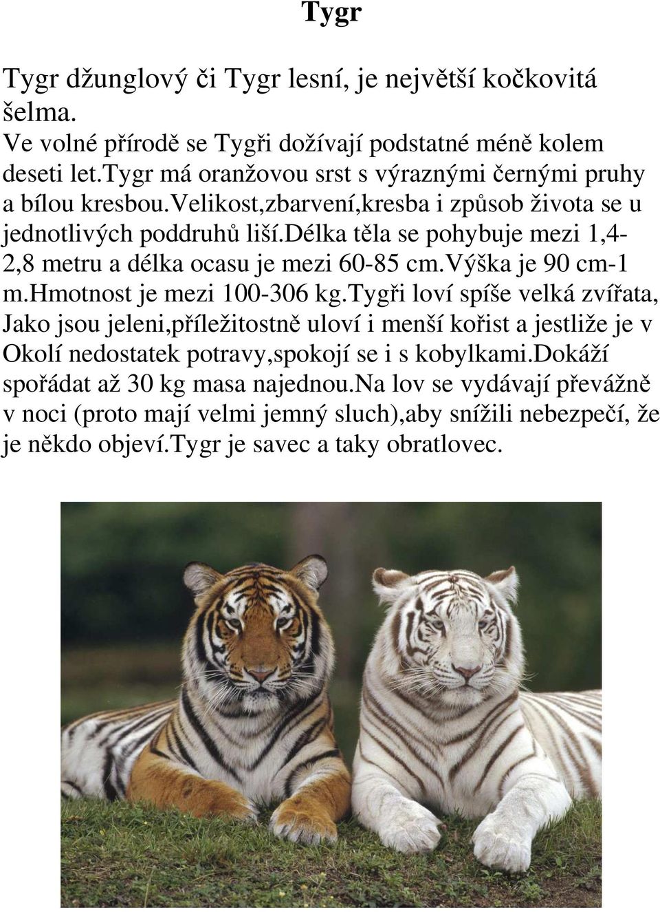 délka těla se pohybuje mezi 1,4-2,8 metru a délka ocasu je mezi 60-85 cm.výška je 90 cm-1 m.hmotnost je mezi 100-306 kg.