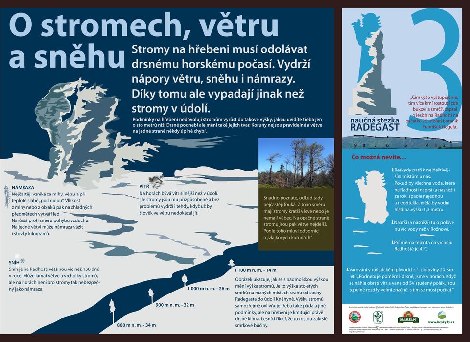 Koruny nejsou pravidelné a větve na jedné straně někdy úplně chybí. Čím výše vystupujeme, tím více krní rostoucí zde bukoví a smrčí, zapsal o lesích na Radhošti na začátku 20.