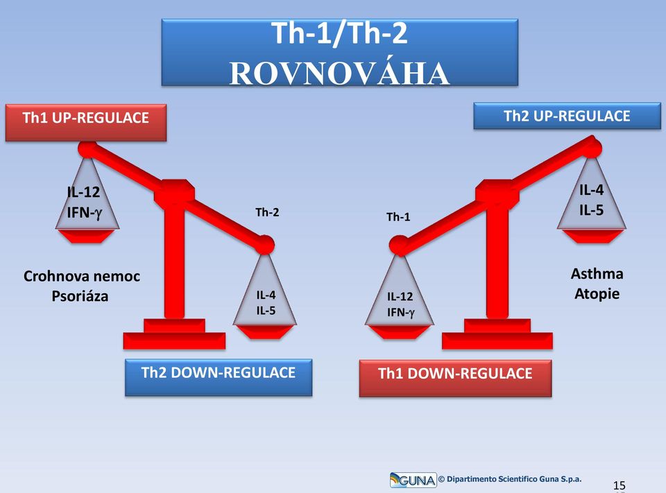 Crohnova nemoc Psoriáza IL-4 IL-5 IL-12 IFN-g