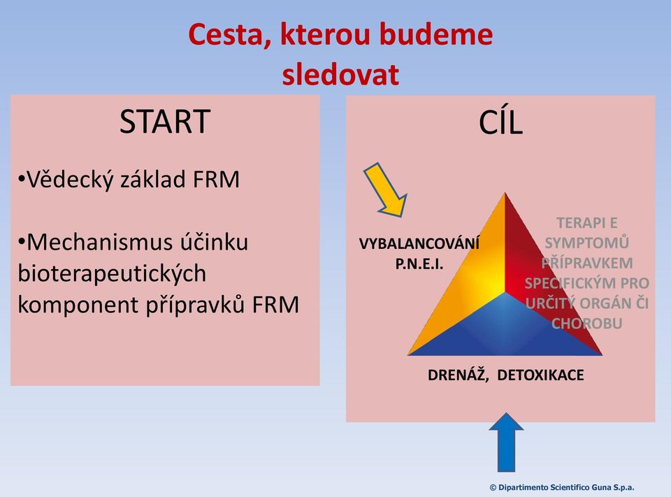 přípravků FRM VYBALANCOVÁNÍ P.N.E.I.