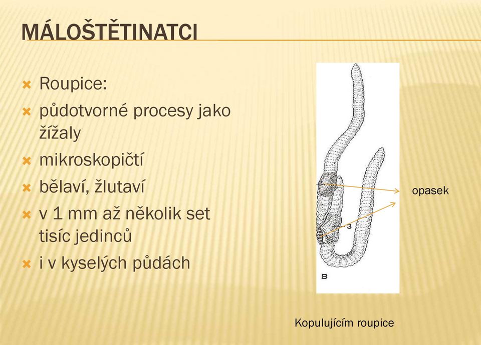 žlutaví v 1 mm až několik set tisíc