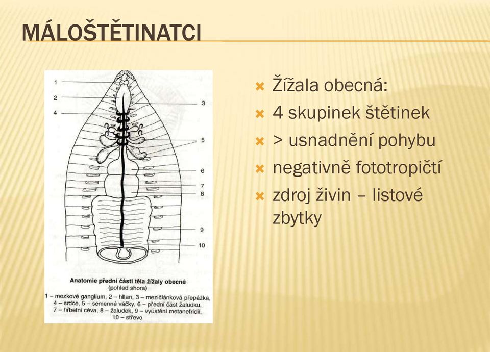 usnadnění pohybu negativně