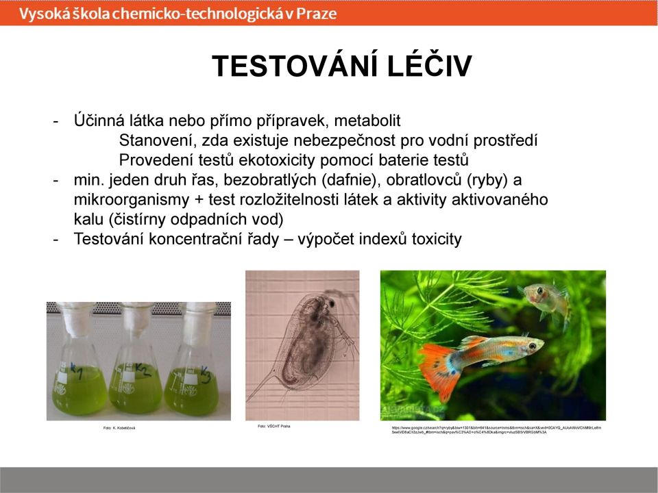 jeden druh řas, bezobratlých (dafnie), obratlovců (ryby) a mikroorganismy + test rozložitelnosti látek a aktivity aktivovaného kalu (čistírny odpadních