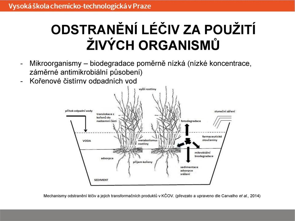 působení) - Kořenové čistírny odpadních vod Mechanismy odstranění léčiv a