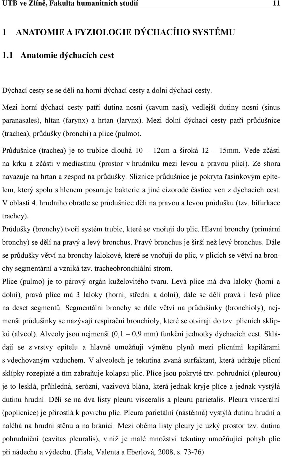 Mezi dolní dýchací cesty patří průdušnice (trachea), průdušky (bronchi) a plíce (pulmo). Průdušnice (trachea) je to trubice dlouhá 10 12cm a široká 12 15mm.