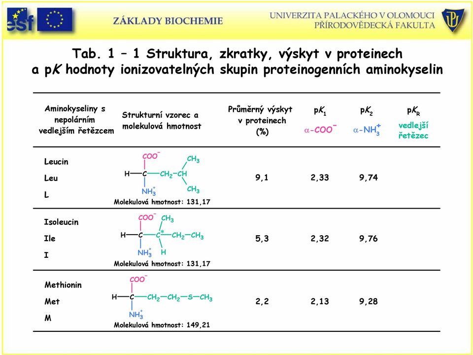 1 pk 2 α 4 α 3 pk R vedlejší vedlejší řetězec řetězec Leucin 3 Leu L 3 Molekulová hmotnost: 131,17 3 2 9,1 2,33 9,74