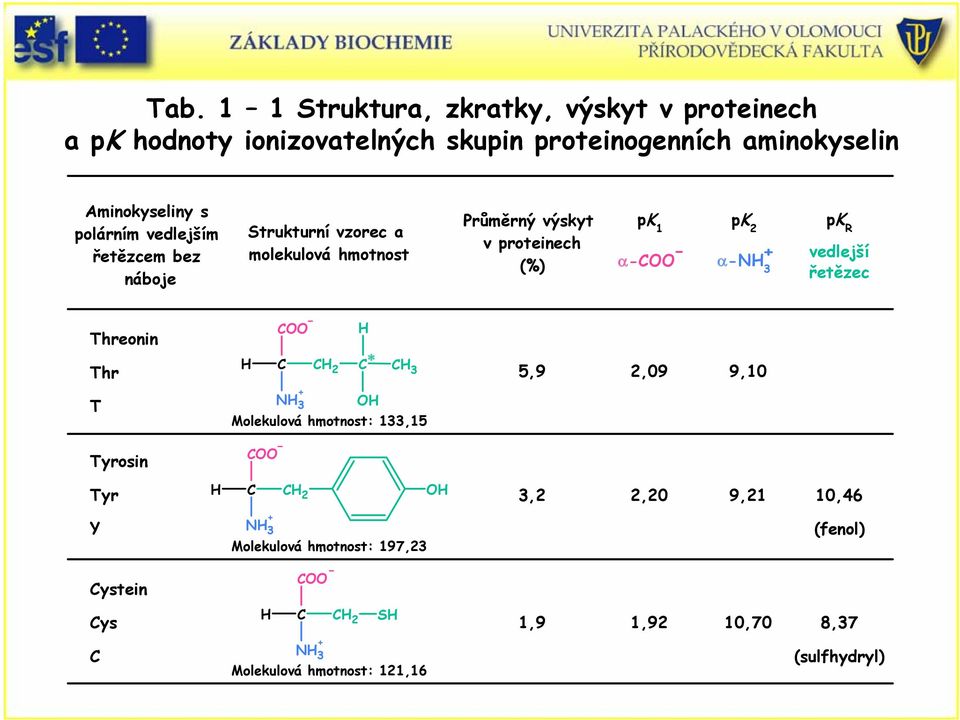 α 3 pk R vedlejší vedlejší řetězec řetězec Threonin Thr T 2 3 3 Molekulová hmotnost: 133,15 5,9 2,09 9,10 Tyrosin Tyr 2 3,2