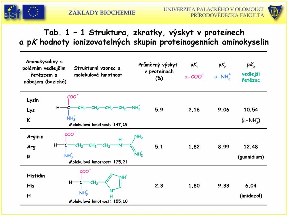 3 pk R vedlejší vedlejší řetězec řetězec Lysin Lys K 2 2 2 2 3 3 Molekulová hmotnost: 147,19 5,9 2,16 9,06 10,54 (ε 3 ) Arginin Arg R 2