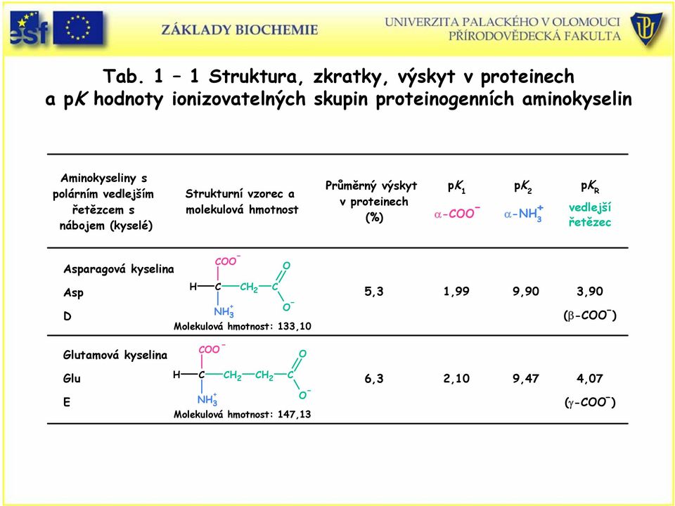 výskyt v proteinech (%) pk 1 α 4 pk 2 α 3 pk R vedlejší vedlejší řetězec řetězec Asparagová kyselina Asp D 2 3