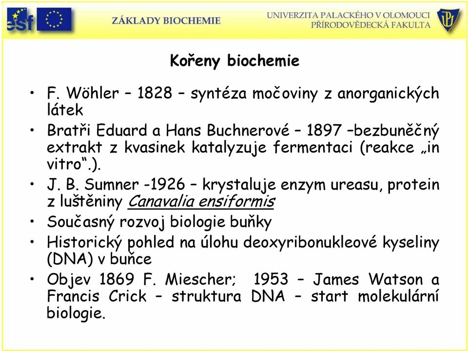 kvasinek katalyzuje fermentaci (reakce in vitro.). J. B.