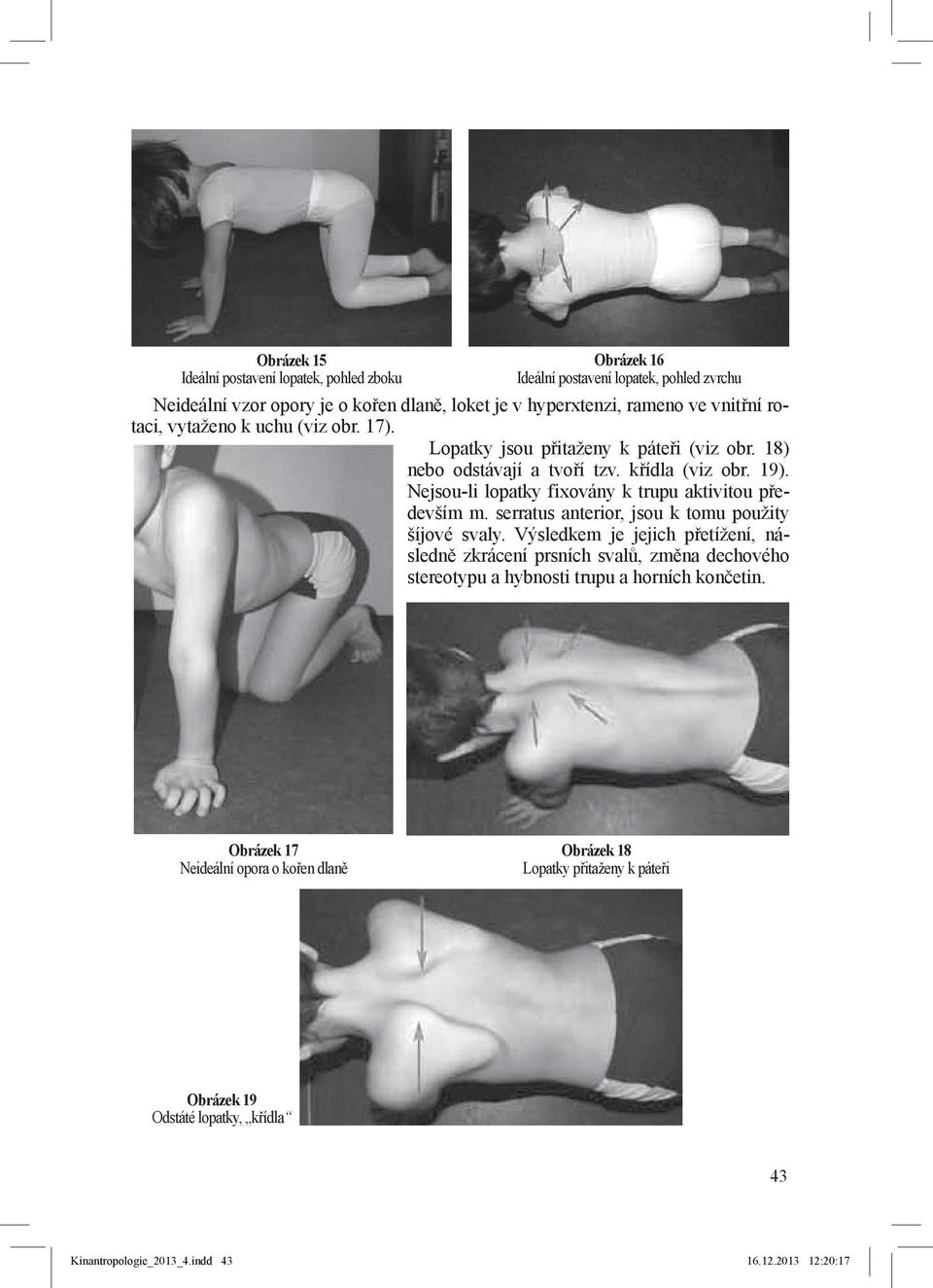 Nejsou-li lopatky fixovány k trupu aktivitou především m. serratus anterior, jsou k tomu použity šíjové svaly.