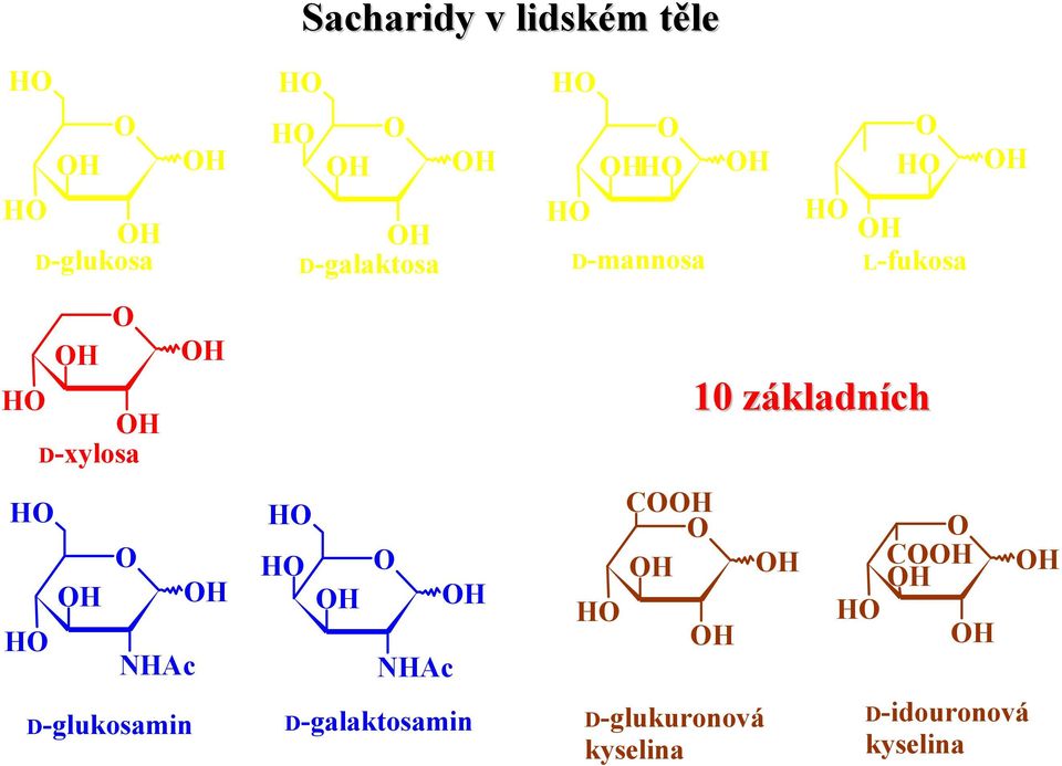 NHAc H H H H H NHAc H H CH H H D-glukosamin D-galaktosamin