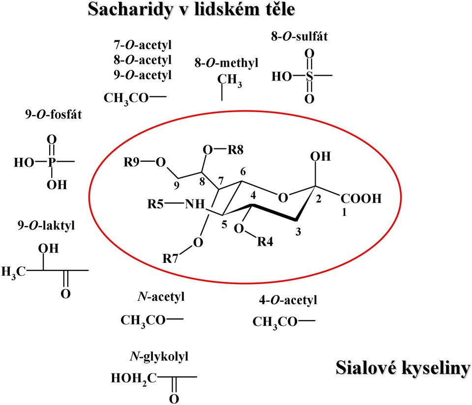 R7 N-acetyl N-glykolyl 8--methyl CH 3 NH 8 7 5 R8 6 4 R4