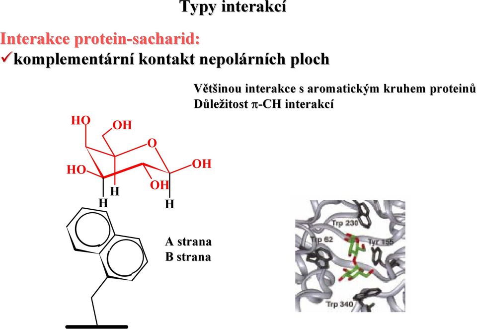 Většinou interakce s aromatickým kruhem proteinů