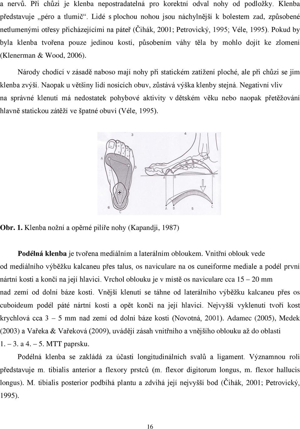 Pokud by byla klenba tvořena pouze jedinou kostí, působením váhy těla by mohlo dojít ke zlomení (Klenerman & Wood, 2006).