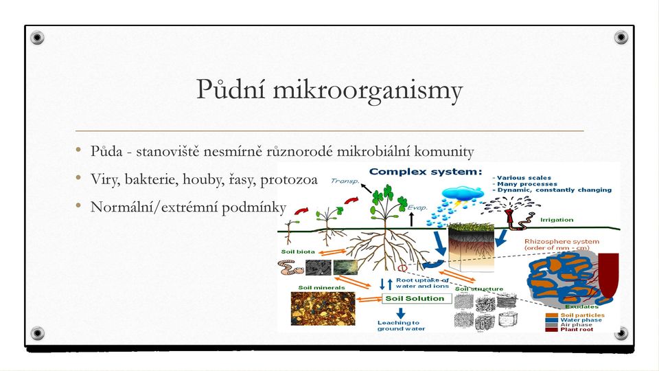 mikrobiální komunity Viry,